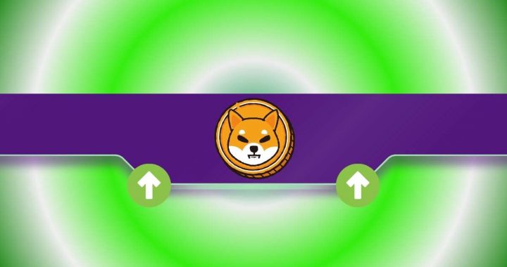 Massive Shiba Inu (SHIB) Announcement