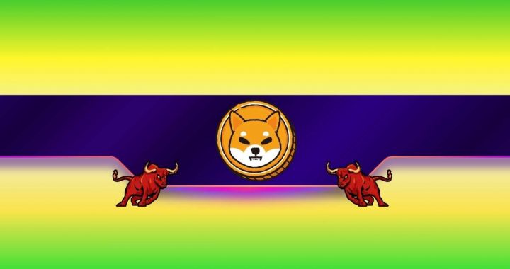 Shiba Inu (SHIB) Rally Incoming? 3 Reasons Behind the Bullish Outlook