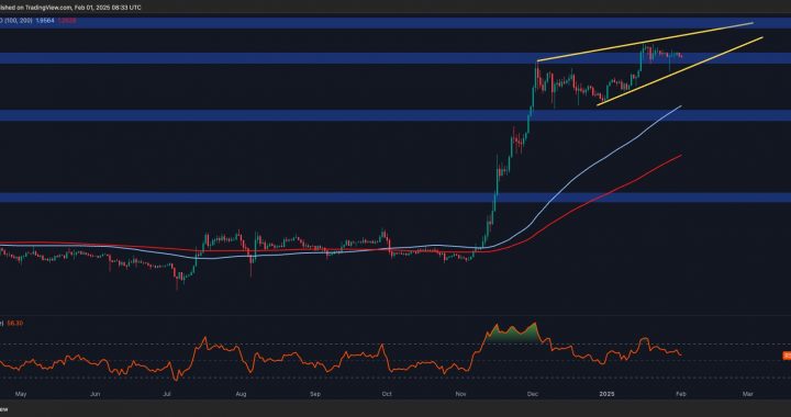 Ripple Price Analysis: XRP’s Bullish Momentum Weakens—Correction Ahead?