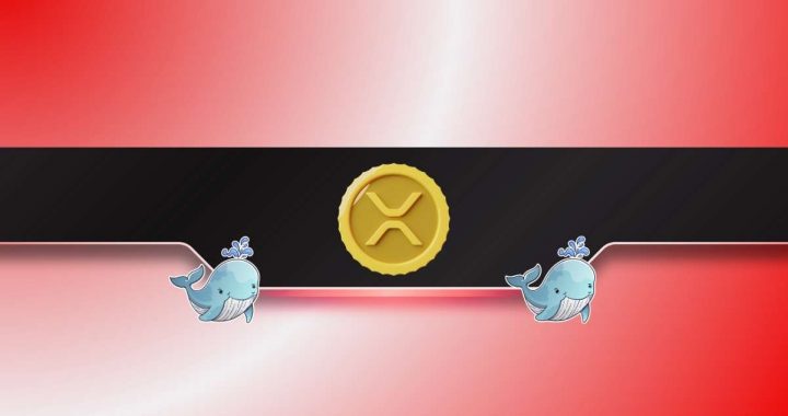 Ripple Whales Go on a Selling Spree: Is XRP Headed for a Further Correction?