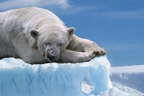 Bitcoin Bearish Case Emerges – Is A Dump To $73,000 Coming?