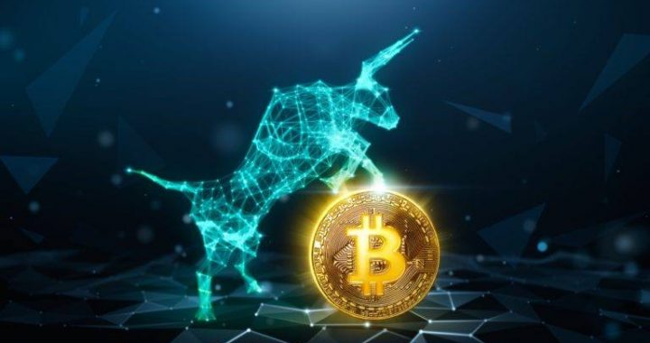 Legendary Cypherpunk Claims Bitcoin Is in the ‘Early Stages’ of a Bull Market
