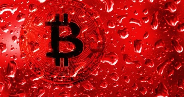 Bitcoin Price Analysis: Blood in the Water or the Perfect Buy Opportunity?