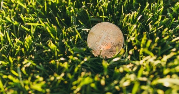 Exhausted? Hodl BTC and Touch Grass
