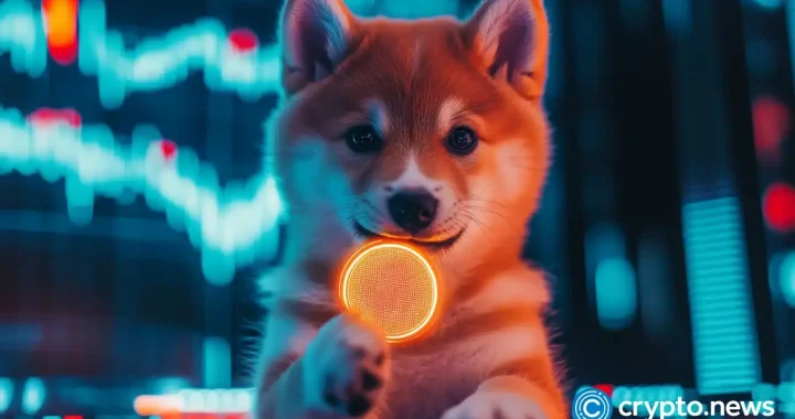 Could this low-cap crypto follow the path of DOGE in the coming year?