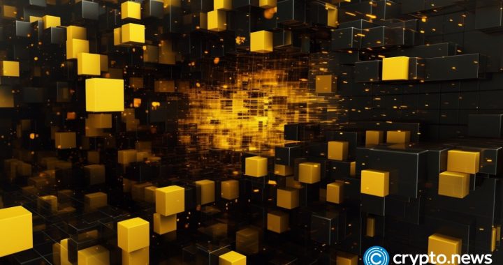 Crypto community votes to rid BNB chain of MEV issues