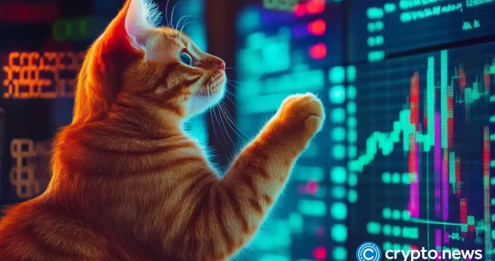 This new cat-themed coin is pumping while the market turns red: POPCAT 2.0?