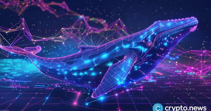 XRP and Ethereum whales show growing interest in this rising crypto star