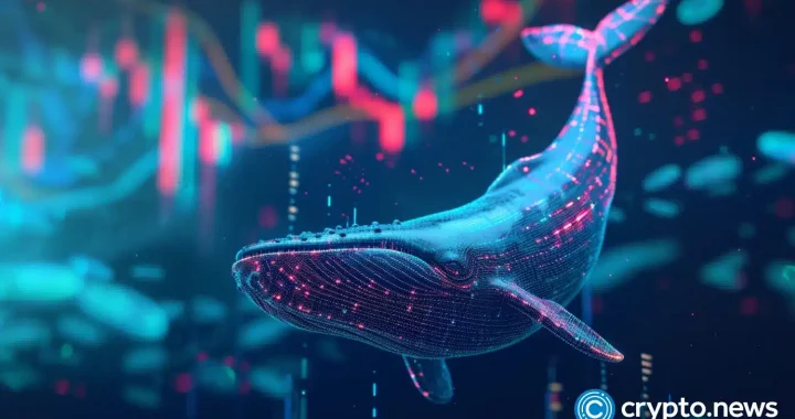 Solana could hit $400 after ETF approval, whales quietly accumulate XYZ