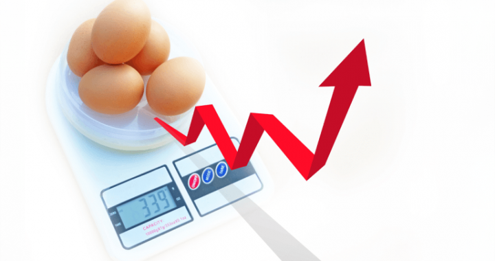 US Inflation ‘Nightmare’ Remains Sticky as January Price Hikes Unsettle Markets