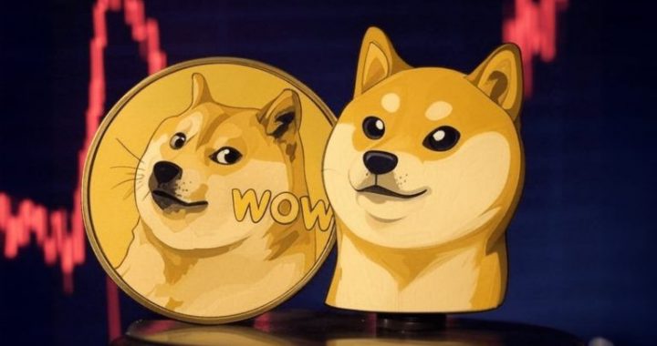 Dogecoin, Shiba Inu Prices Continue to Slide but Expert Tips Mind of Pepe to Explode
