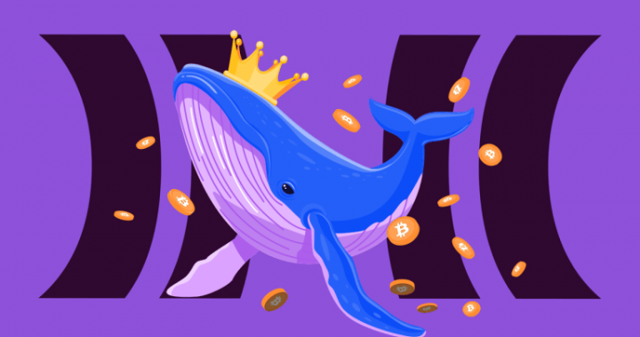 Cloudbet Removes All Betting Limits on Super Bowl LIX