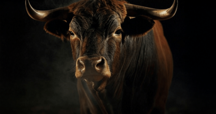Bitcoin Price Analysis: Bulls Struggle as $94K Support Faces Ultimate Test