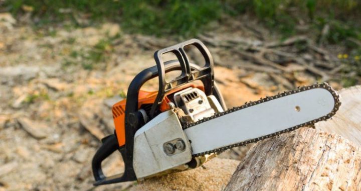 Milei Meets Musk: A Chainsaw Affair