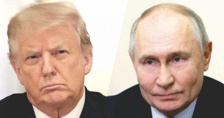Trump and Putin Discuss Ukraine, US Dollar, and Cooperation: ‘We Agreed to Work Together’