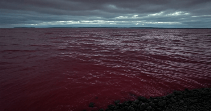 Sea of Red: Altcoins Bleed Billions, Crypto Market Sinks to $2.84 Trillion 