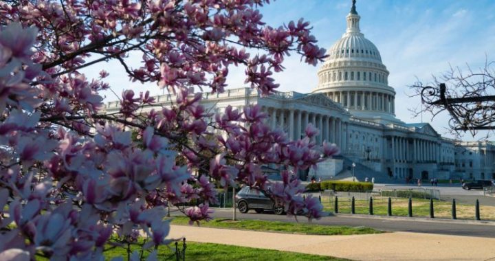 New Bill Proposes Strict Stablecoin Regulations With Federal Reserve Oversight