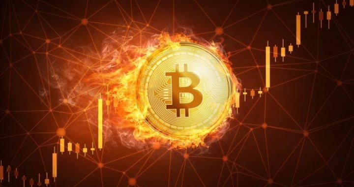MSTR Shareholders See $1.8B Gain as Strategy Treasury Grows Bitcoin Reserves