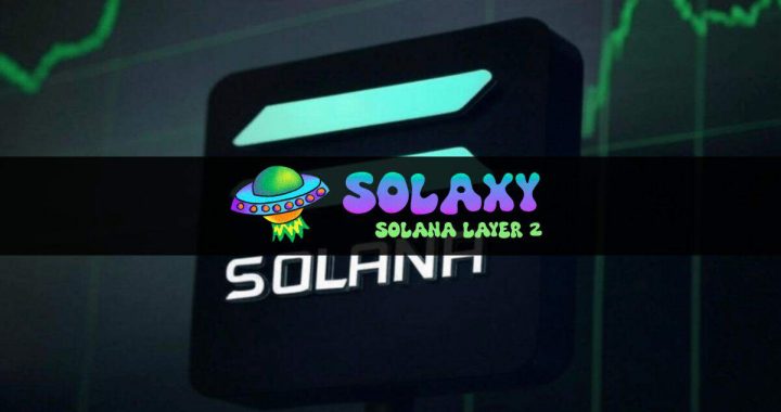 Crypto Whales Appear to Be Buying Solana on the Dip, What About Solaxy?