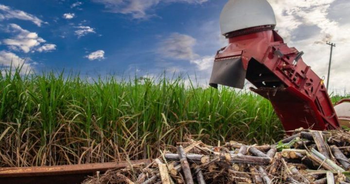 Make Farming Great Again: Tether Pushes for Majority Stake in Adecoagro