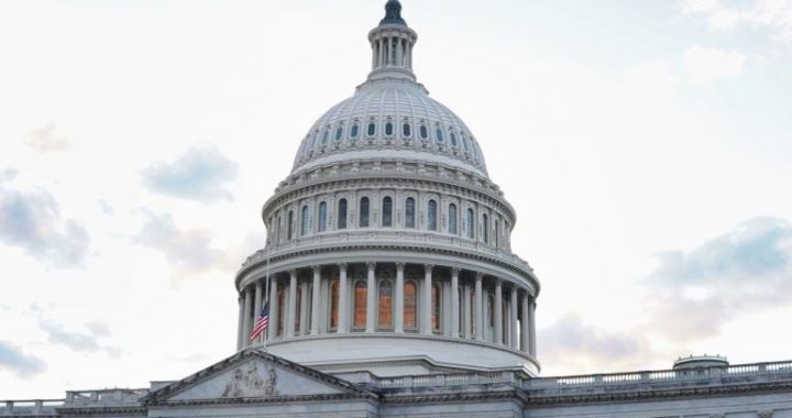 US Lawmaker Blasts Trump’s Meme Coin, Accuses Elon Musk’s DOGE of Gutting Consumer Protections