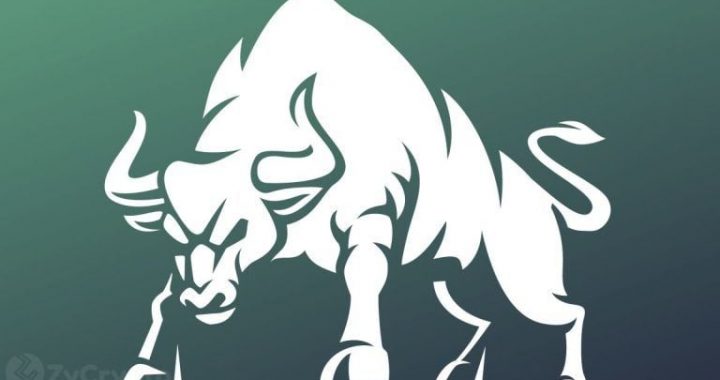 XRP Price Report: Is the Next XRP Super Rally About to Begin?