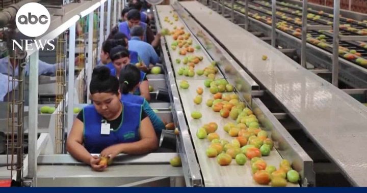 Bitcoin Prediction Suggests Skyrocket As Trump Trade War Takes Hold