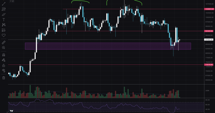 BTC: Technical and Price Analysis Amid Trump’s Crypto Buzz