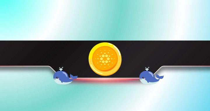 100,000,000 ADA: Price Crash Incoming Following Extreme Offloading?