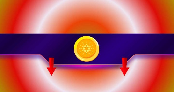 Why is the Cardano (ADA) Price Down Today?