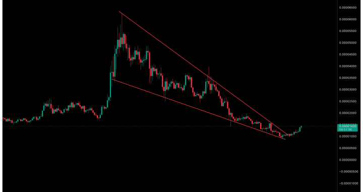 BONK Token Surges 14.8%, Volume Hits $210M: Is Solana’s Top Meme Coin Back in Action?