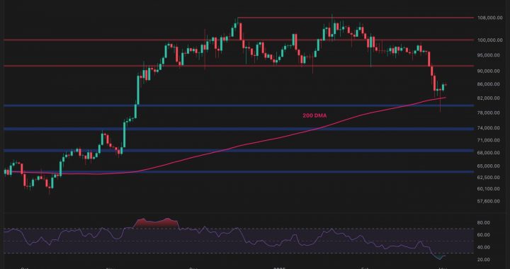 Bitcoin Price Analysis: Has BTC Found Strong Support After the Recent Sell-Off?