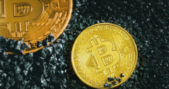Bitcoin Long-Term Holder Net Position Turns Green For The First Time In 2025