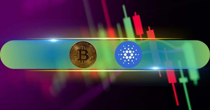 ADA and LINK Steal the Show as BTC Eyes $90K (Market Watch)