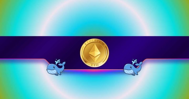 Ethereum Whales Accumulate Millions of Tokens: ETH Price Surge on the Way?
