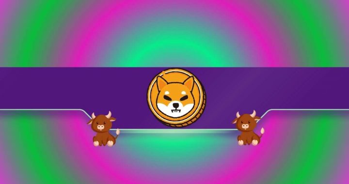 Shiba Inu (SHIB) Can Soar by 50% Under This Condition (Analyst)