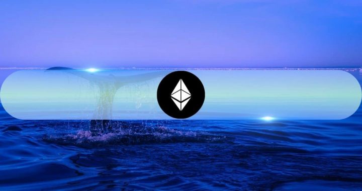 1.1M in ETH: What Are Ethereum Whales Preparing For?