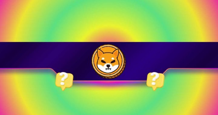 Key Shiba Inu Metric Skyrockets by 2,000%: SHIB Rally Incoming?