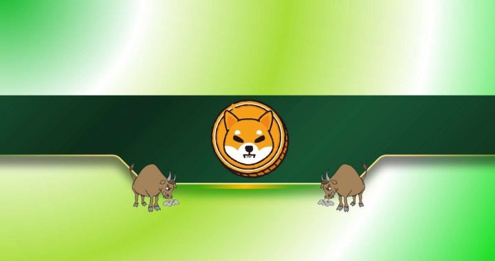 3 Reasons Why the Shiba Inu (SHIB) Price Might Rally Soon