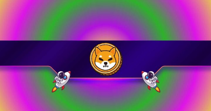 Shiba Inu (SHIB) Soars by 16% Daily: What Drives the Surge?