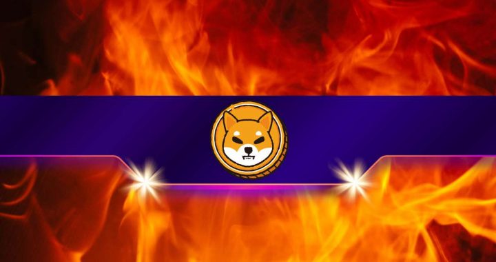 SHIB Burn Rate Goes Parabolic — What’s Fueling the Fire?