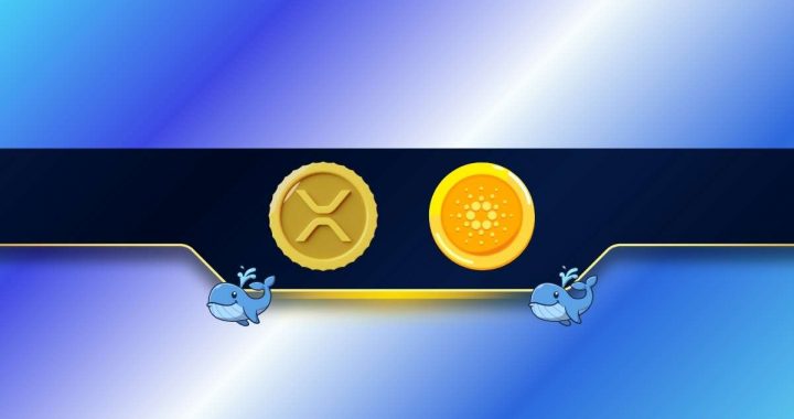 Ripple (XRP) and Cardano (ADA) Whales Buy Big Amid Massive Price Gains: Details