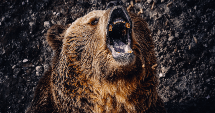 Bitcoin Price Watch: BTC’s Next Move Hinges on $83.5K Support Amid Low Demand