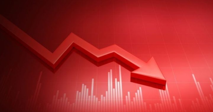 Ark Invest’s Cathie Woods Warns About Meme Coin Mania