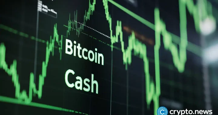 Bitcoin Cash soars 30% to lead top coins amid market bounce