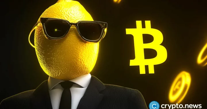 Why are investors watching BitLemons over Cardano and BNB?