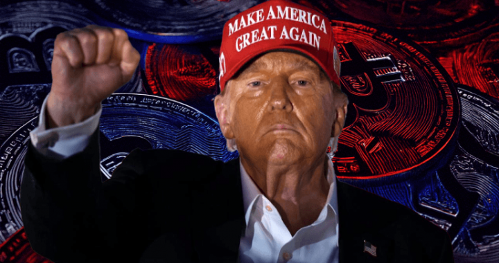 From $95K Bitcoin to ADA’s 65% Rally: Trump’s Influence Sparks Wave of Short Liquidations