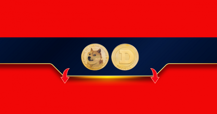 Is This the Final Chapter for Dogecoin’s Bull Run? Assessing Musk’s Recent Comments