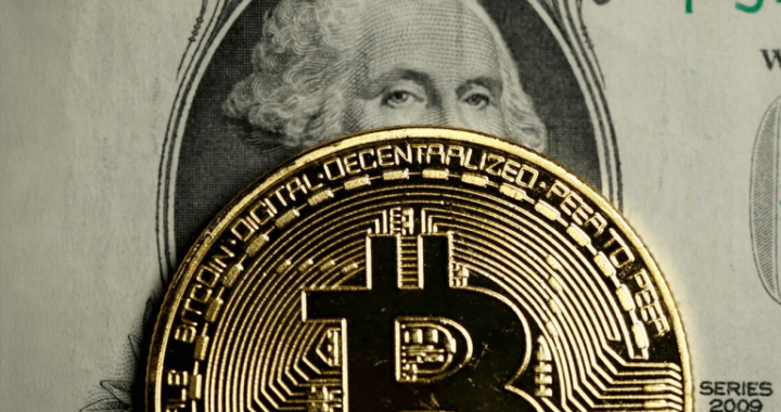 Crypto’s 2025 Paradox: $610B Evaporates While Some Assets Defy Gravity With Triple-Digit Leaps