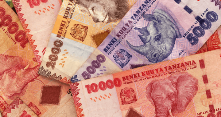 Tanzanian Shilling’s 8.9% YTD Drop Earns It World’s Worst-Performing Currency Status
